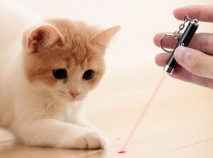 4234 *Llavero Láser & Luz* (1.5x12 cm.) INDIVIDUAL. - Imagen 2