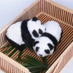 3056 *Baby Panda PASITOS c/Sonido* (19x13.5 cm.) - Imagen 5