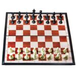 3583 *Ajedrez Magnético Brains Chess T-CHICO* (18x18 cm.) - Imagen 3