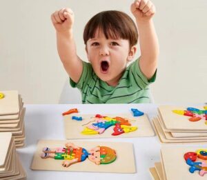 6804 *Rompecabezas Grueso de 13 Pcs.* (15x30 cm.) 50 Diferentes.