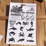 0974 *Capsulas Mágicas* (15x21.5 cm.) Blíster c/12 Pcs. - Imagen 3