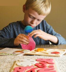 0518 *Rompecabezas d/Madera 3D para Insertar y Crear* (18x15 cm.) 28 Diferentes.