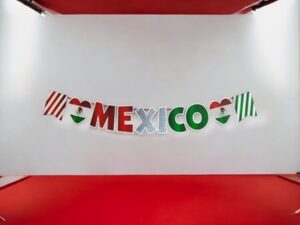 5290 *Banderín Amo a México e/Cartulina* (22x500 cm.)