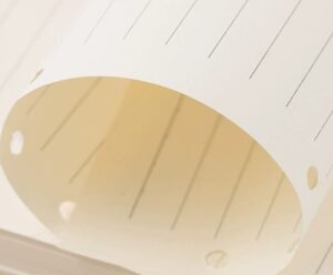 1654 *Hojas de RAYA* (21.5x28 cm.) 100 Hojas.