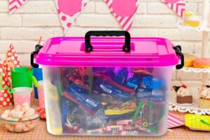 1180 *Caja Plástica CETUS* (23.5x21x36 cm.)