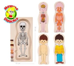 0570 *Rompe-Madera 5 en 1 CICLOS DE LA VIDA Niño* (15x30 cm.) - Imagen 2