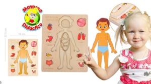 5502 *ÓRGANOS INTERNOS Rompe d/Madera* (18x22 cm.) - Imagen 2