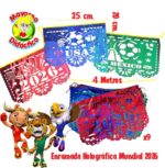 4497 *Enramada Holográfica MUNDIAL 2026* (4 mts.) INDIVIDUAL - Imagen 2